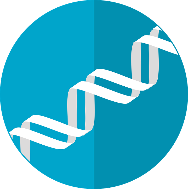 Causas genéticas DNA